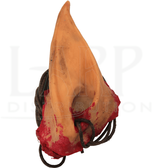 Elven Ear Trophy Necklace - Elfen Trophy Oor Kostuum Decoratie Decoratie - Larp (550x550), Png Download