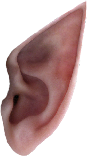 Report Abuse - Elf Ears Png (337x604), Png Download