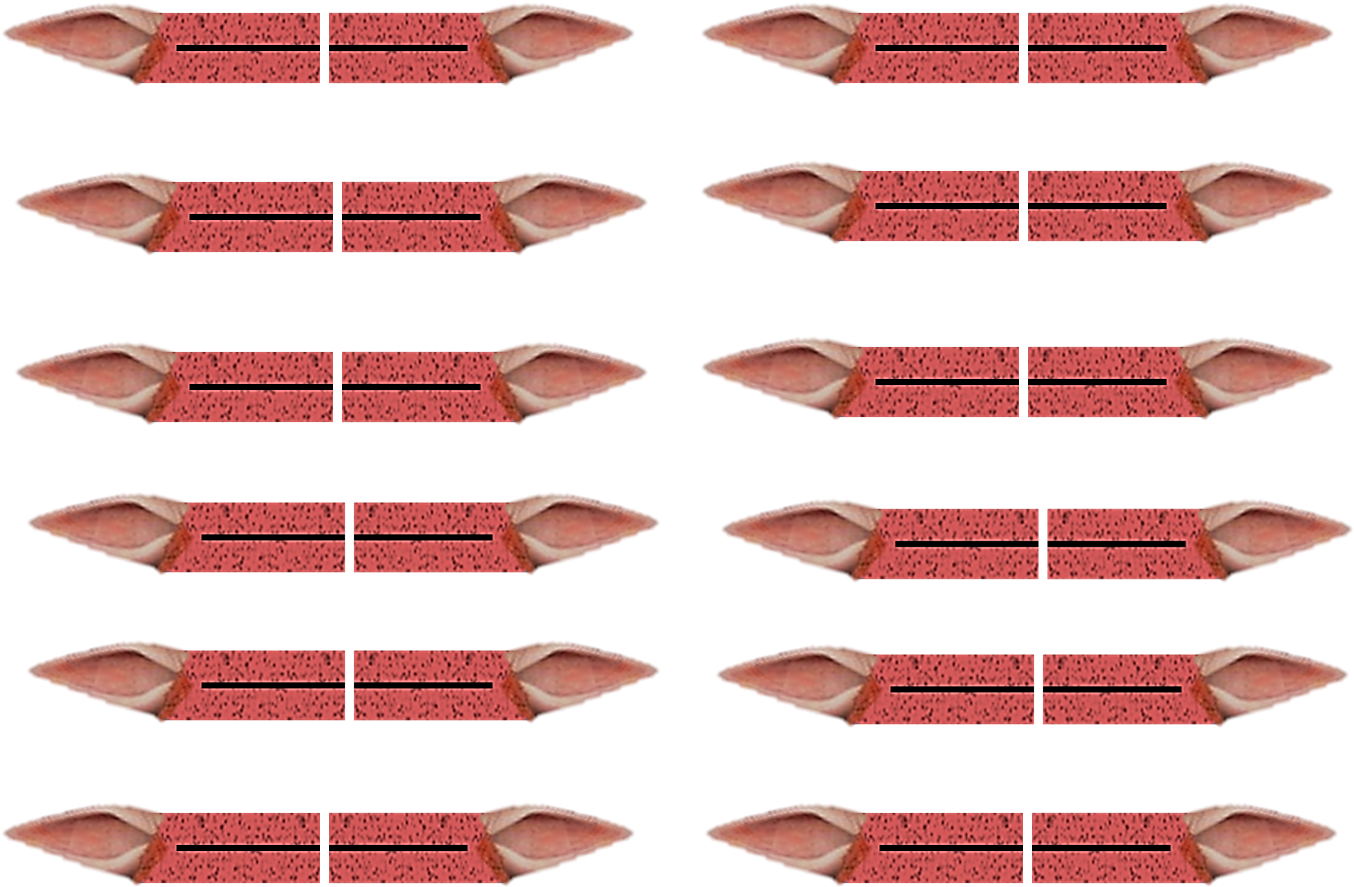 I - Ear (1399x992), Png Download