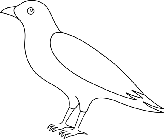 Bird Outline Clip Art - Out Line Images Of Crow (550x469), Png Download