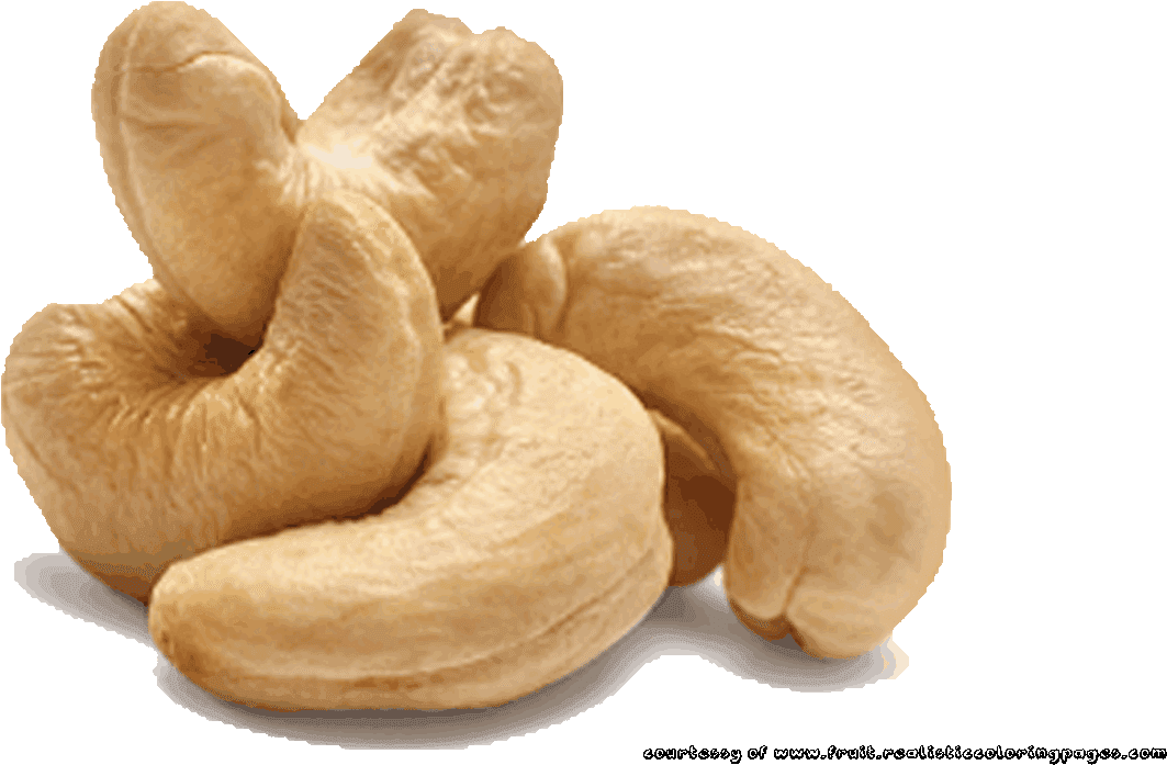 Cashew Nut Illustrations Pictures - Cashew Nut Illustration (1280x720), Png Download