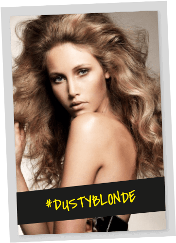 Dusty Blonde Thumb - Website (416x527), Png Download