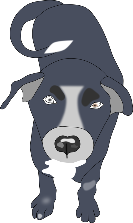 Dog Breed Bernese Mountain Dog Puppy Boxer Border Collie - Dog (447x750), Png Download