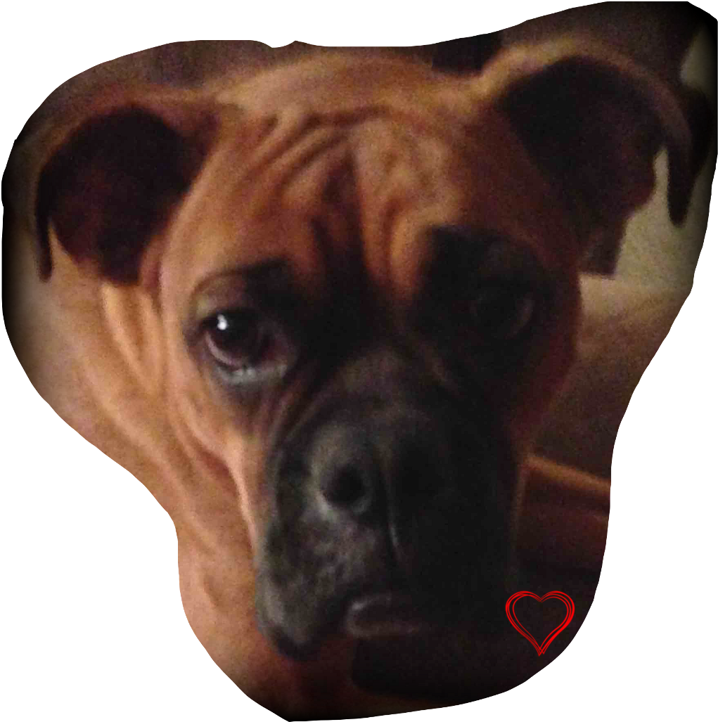 Boxer Boxerlove Boxerdog Dogsofpicsart Dogstickers (1024x1055), Png Download
