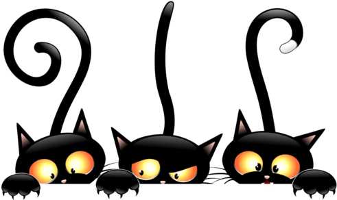 Halloween Black Cats - Witch Cat Png (500x298), Png Download