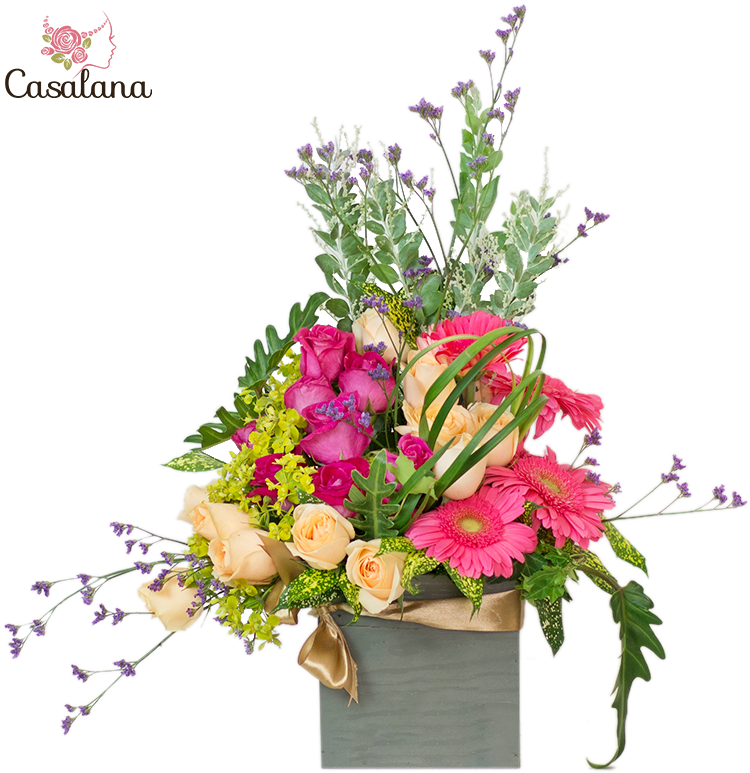 Source - - Haiphong (800x800), Png Download