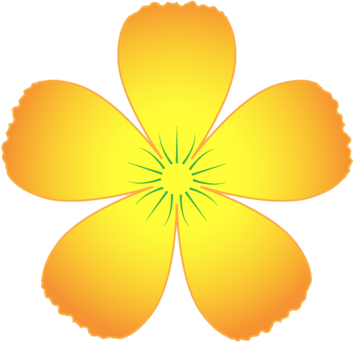 Nam Canh Hoa Mai - Hoa Mai Clipart (532x532), Png Download