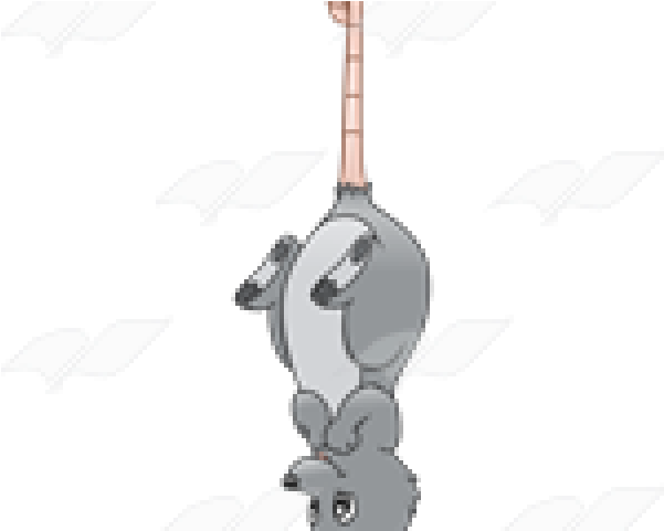 Cartoon (640x480), Png Download