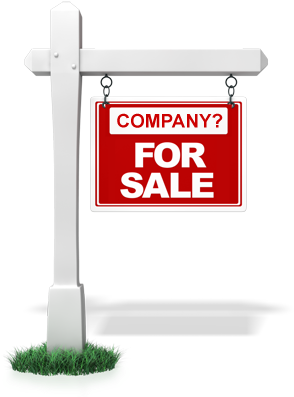 Sale Of Business Vs Company Sale - Sale Sign (300x403), Png Download