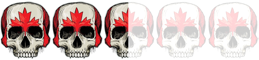 Rating6 - Cafepress Skull Sketch Queen Duvet (850x197), Png Download