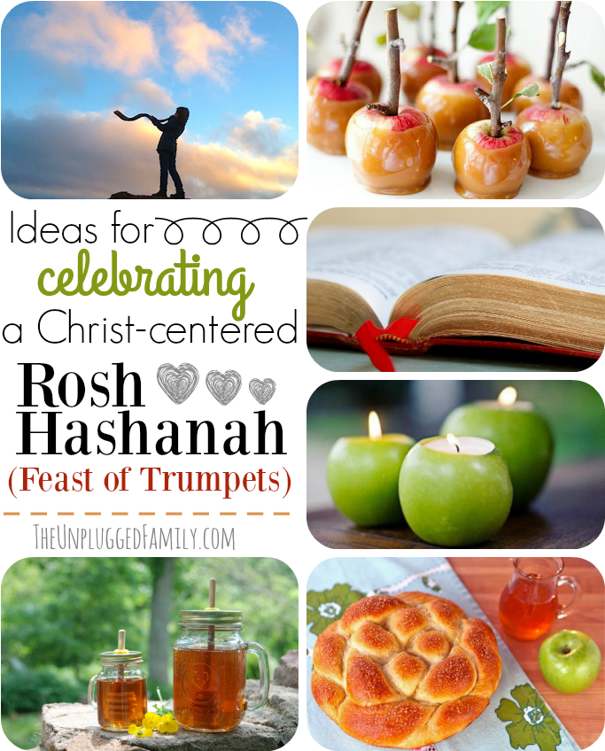 Rosh Hashanah Is One Of The 3 Major Biblical Festivals - Mcintosh (700x865), Png Download