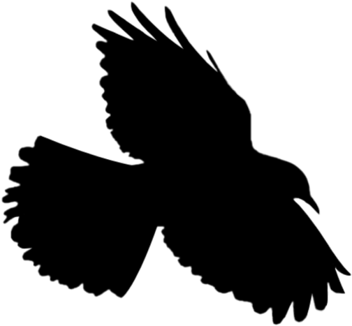 Bird Flying Flyingbird Silhouette - .net (1024x1024), Png Download