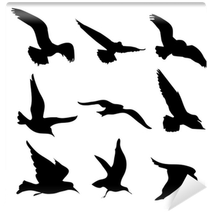 Flying Birds Silhouettes Illustration Wall Mural • - Sagome Uccelli In Volo (400x400), Png Download