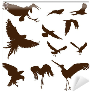 Bird (400x400), Png Download