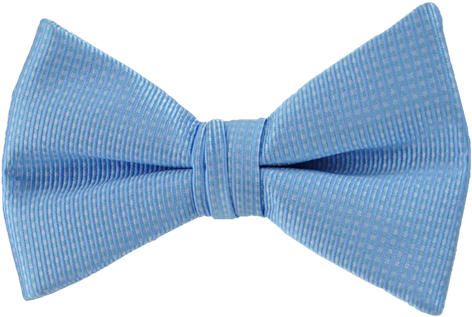 Picture Of Romance Sky Blue Bow - Paisley (550x549), Png Download