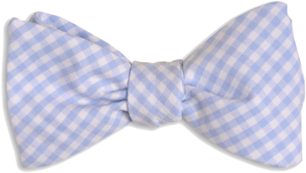 Neckwear The Lucky Knot - High Cotton Men's Self Tie Carolina Blue Gingham Bow (480x320), Png Download