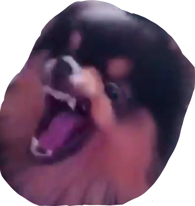Yeontan Angry Dog Bts Meme Rage - Yeontan Memes (636x674), Png Download