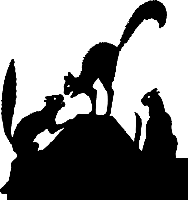 Cats Fighting Silhouette Png (603x640), Png Download