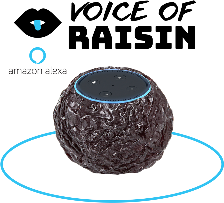 Voice Of Raisin Echo Dot (1000x1000), Png Download