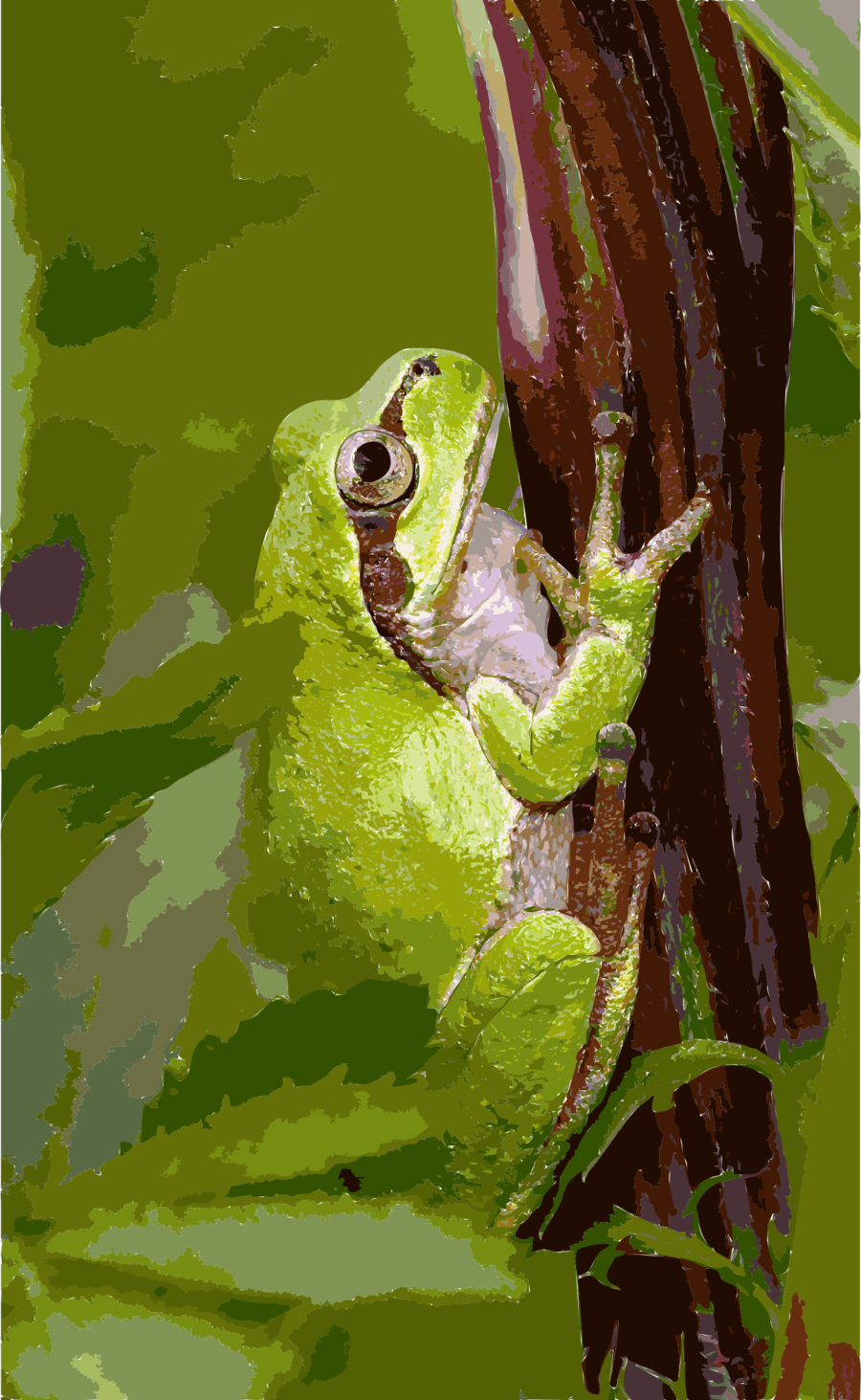 Clipart Resolution 1476*2400 - Japanese Tree Frog, For The Love Of Nature: Blank 150 (900x1463), Png Download