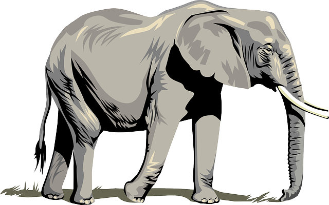 Roll Tide Kids - Elephant Clipart (640x400), Png Download