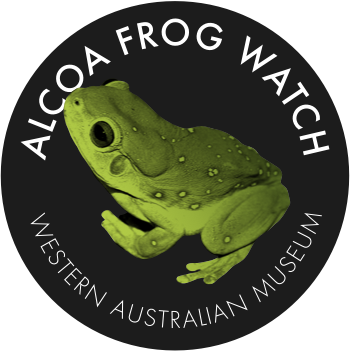 Alcoa Frog Watch - Frog (350x352), Png Download