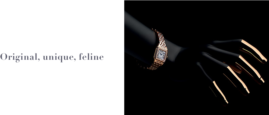 Panthère Watch On Hand - Cartier Panthere Quartz Gold Silver Dial 37mm Ladies (960x380), Png Download