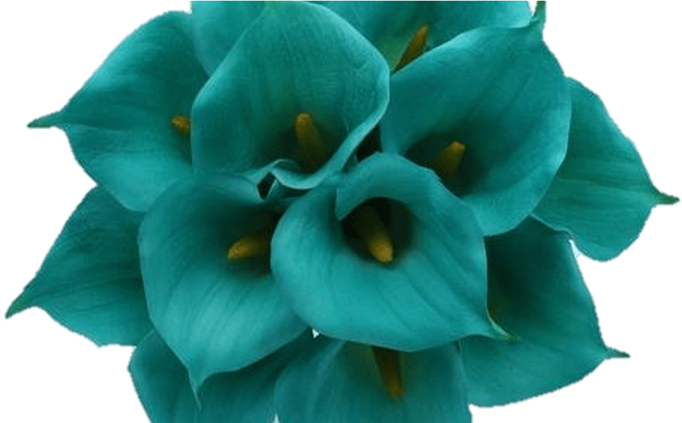 Pink Flower Png Flowers Red Light Pink - Ramo De Flores Turquesas (1067x600), Png Download