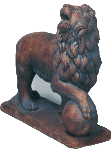 Lion (520x484), Png Download