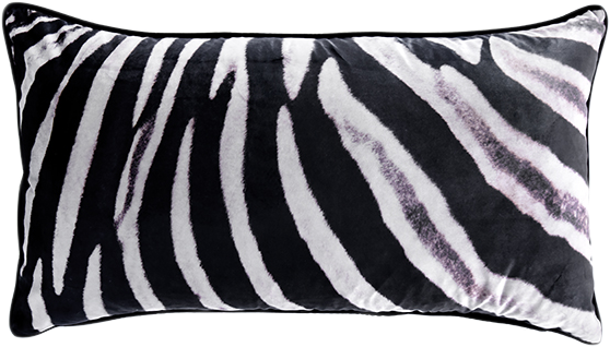 Kali Zebra Print - Cushion (640x427), Png Download