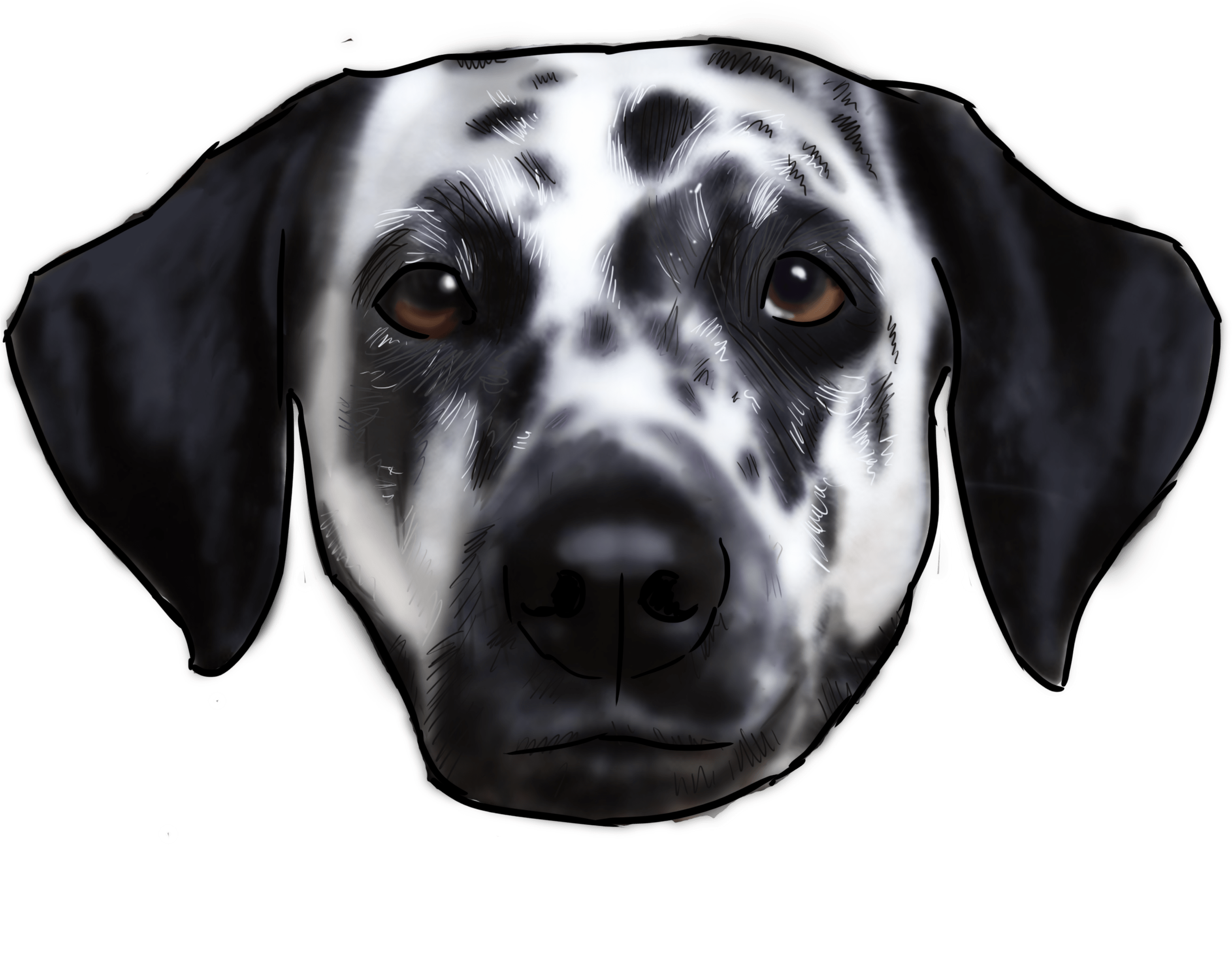 Dalmatian (3000x3000), Png Download