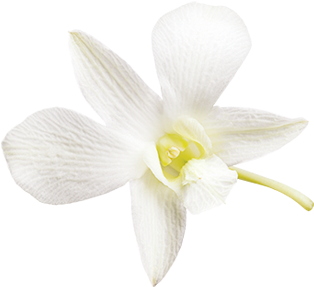 Sans Lactose Vanille 0% - Vanilla (400x400), Png Download