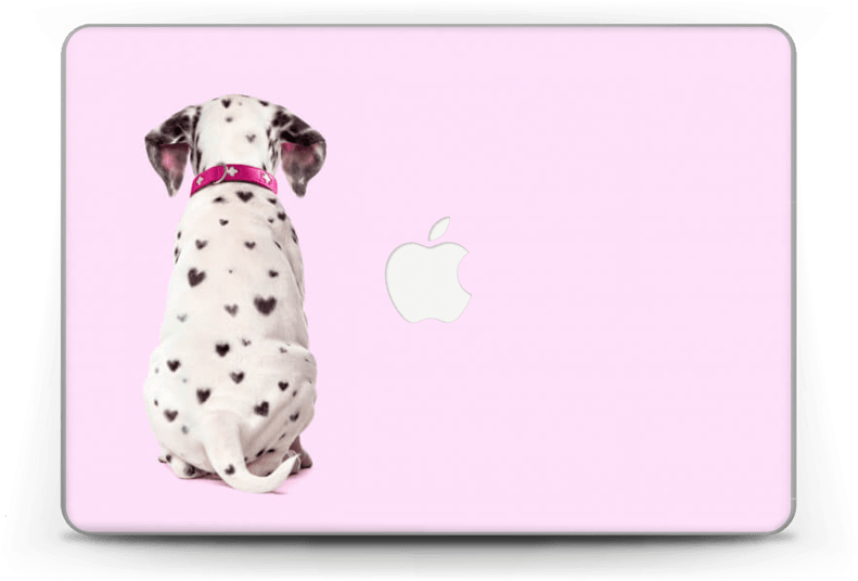 Dalmatian Love - Puppy Sitting Back View (800x560), Png Download