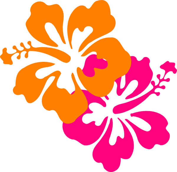 Hawaii - Hibiscus Flower Clip Art Png (600x584), Png Download