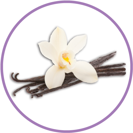 Pure Vanilla Extract - Vanille (442x442), Png Download