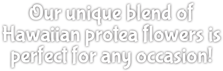 Sugarbushes (940x400), Png Download