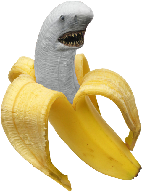 Shark Fruit Banana Png Transparent I Maked This - Transparent Banana Shark (500x729), Png Download