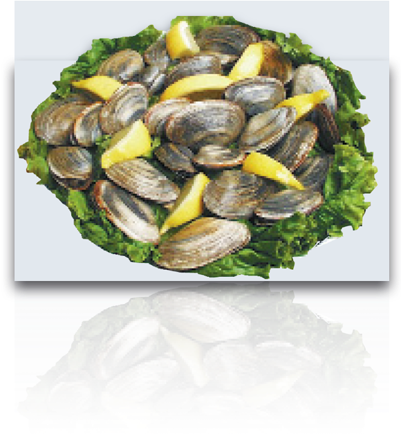 Mussel (580x720), Png Download