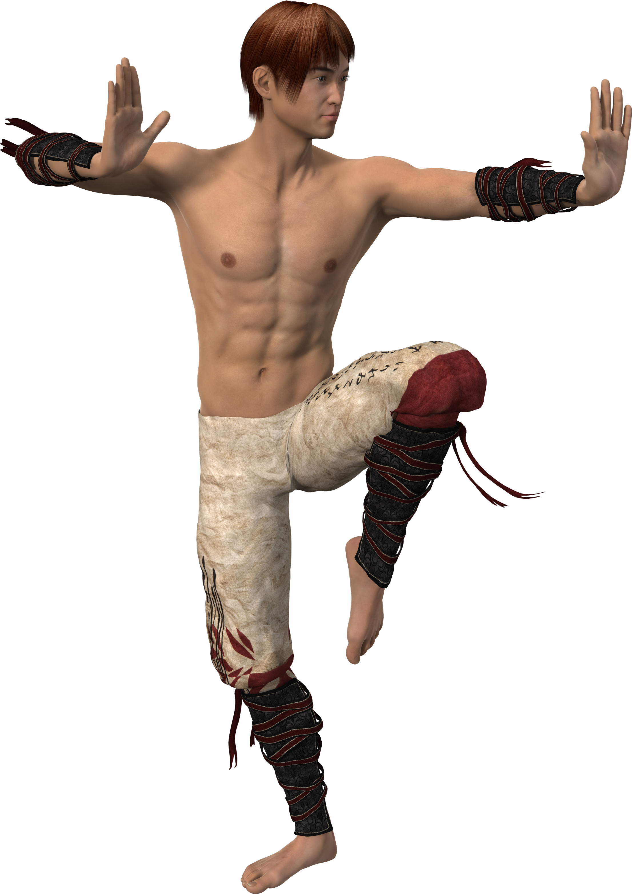 Man In Asian Fight Pose - Fight Man (3000x3500), Png Download