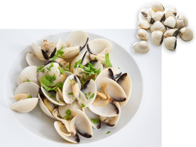 Clams, White - Hard Clam (400x300), Png Download
