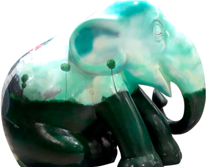 Amanhecedor De Sonho - Indian Elephant (520x324), Png Download