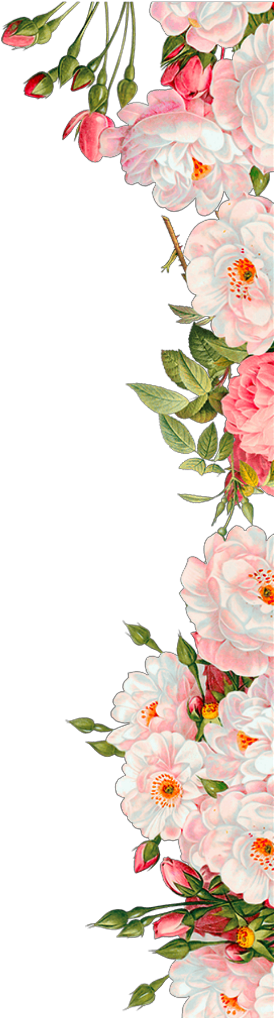 Ftestickers Flowers Roses Border Pink - Wedding Invitation Flowers Png (1024x1024), Png Download