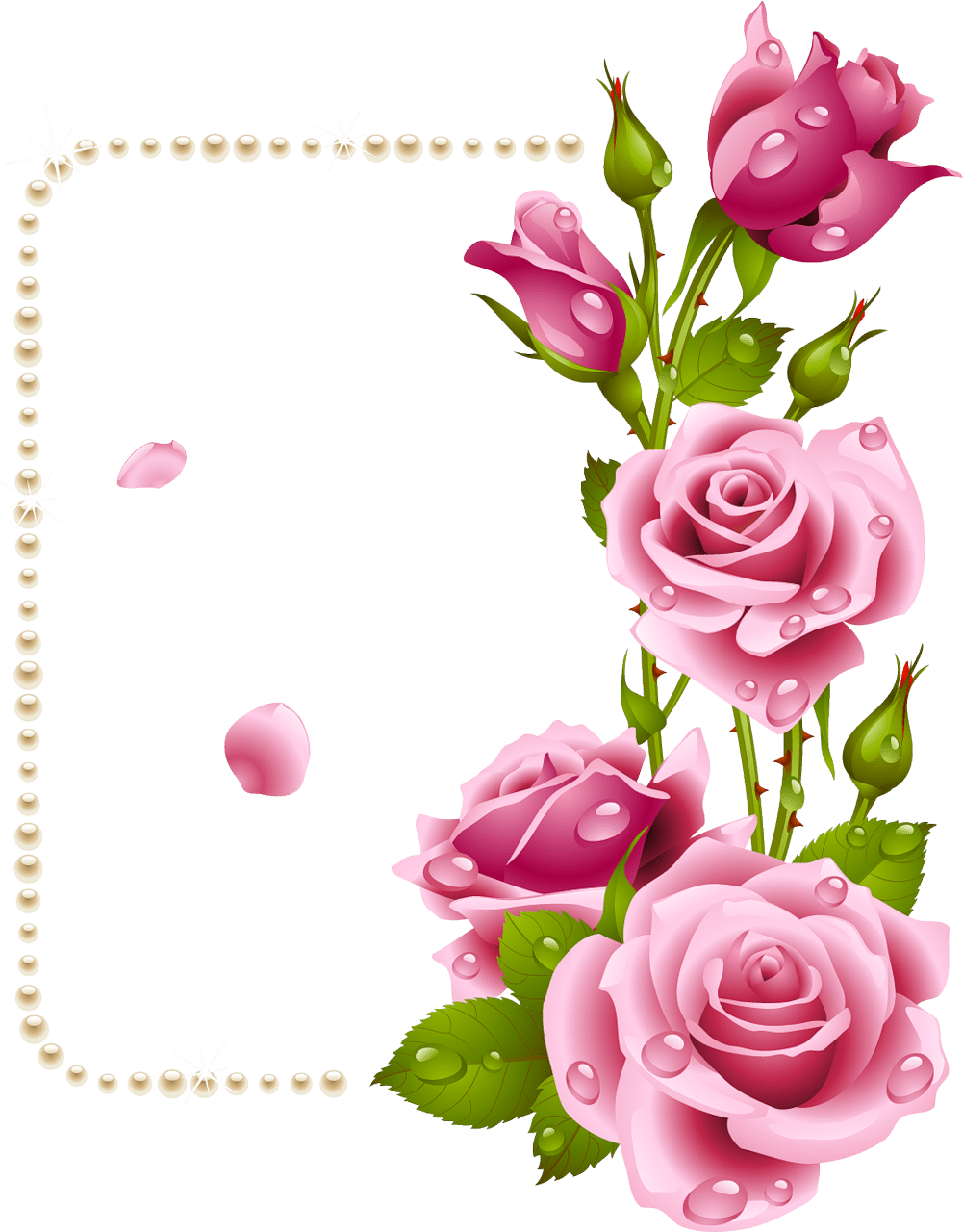 Rose Dil Good Morning (1001x1280), Png Download