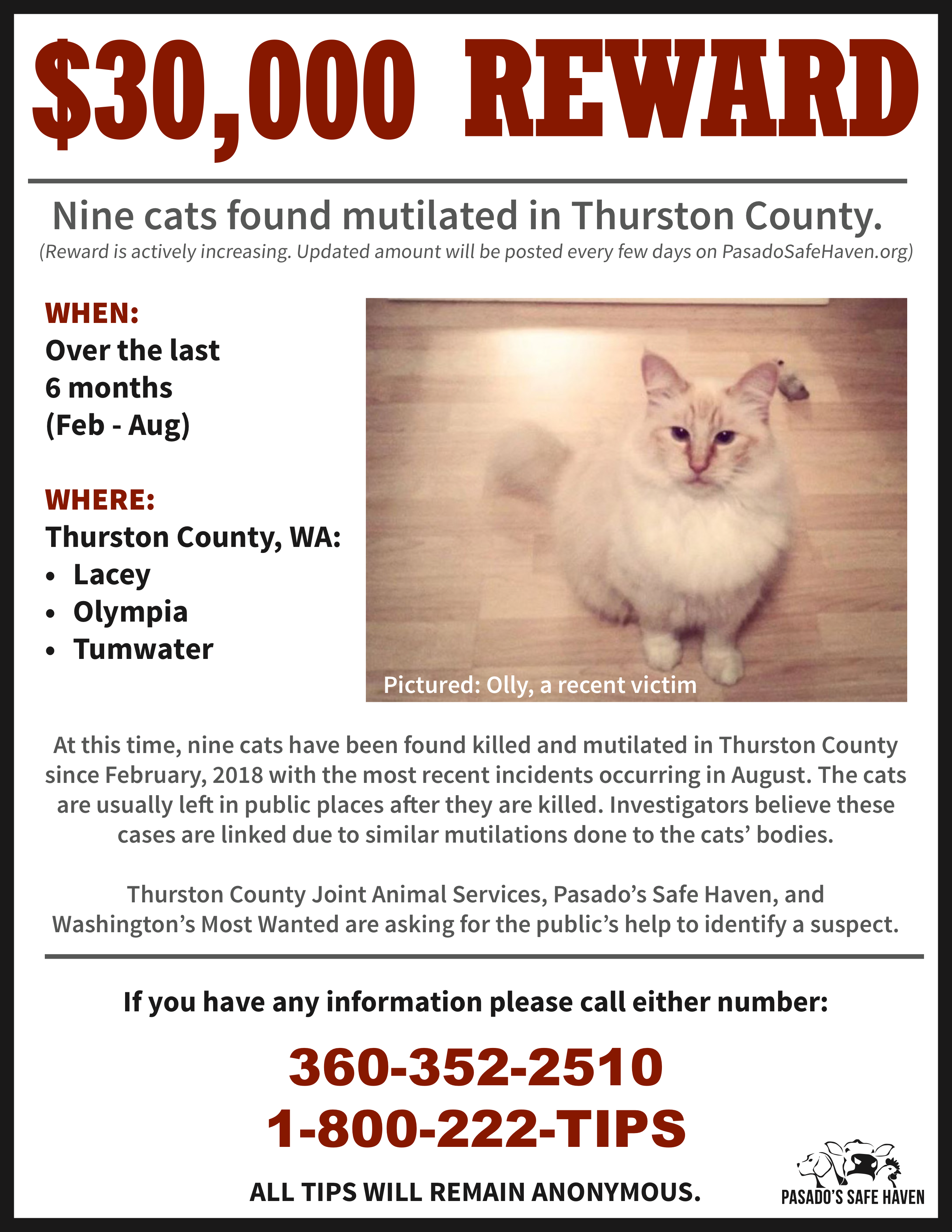 Here's The Reward Poster - Serial Cat Killer Olympia Wa (2550x3300), Png Download