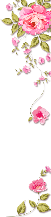 Mq Pink Roses Border Borders - Background Of Birthday Invitation Card (240x843), Png Download
