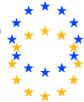 Jean Monnet European Union Center Of Excellence Transatlantic - Social Fund (314x393), Png Download