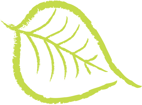 Carrot, Apple, Ginger Health Benefits - Drawing (572x572), Png Download