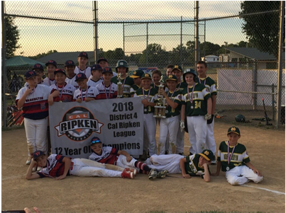 Nor-gwyn 12u Makes Pa Ripken Baseball State Playoffs - Pennsylvania (500x300), Png Download