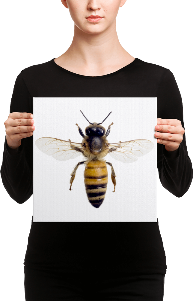 Honey-bee Canvas - Honeybees Thrive By Heather Swan (1000x1000), Png Download