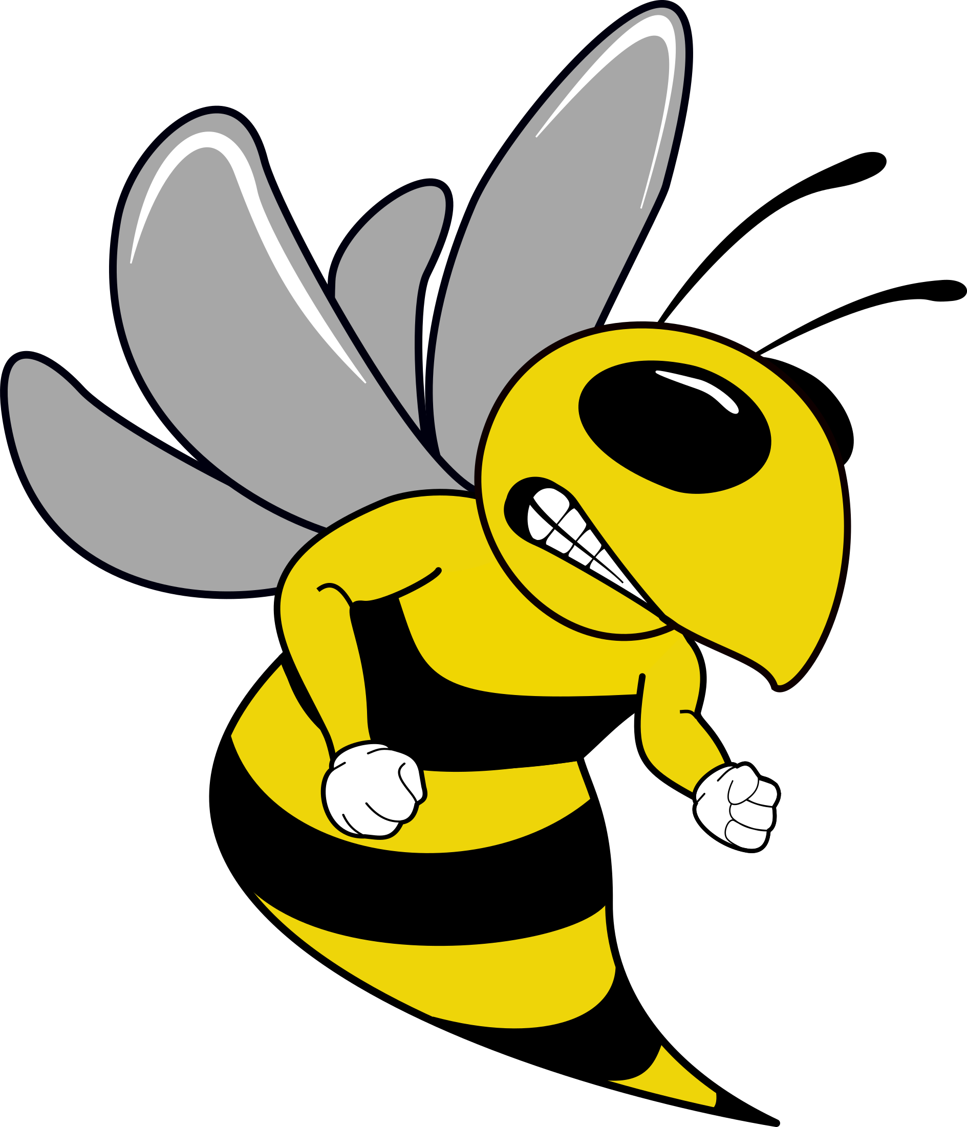 Hornet Mascot - Cartoon (1889x2202), Png Download